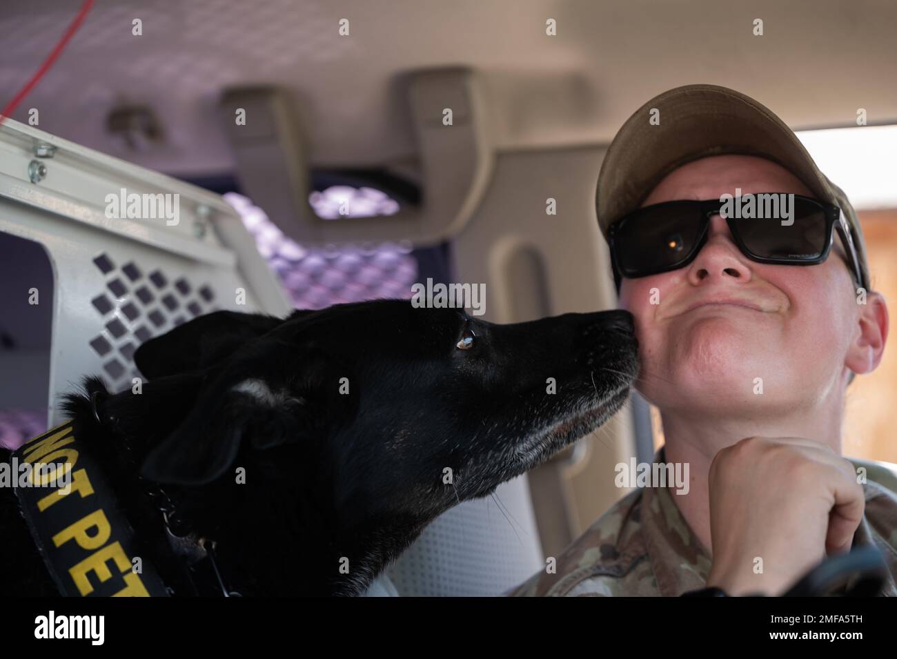 Esme, chien de travail militaire du 99th e Escadron des forces de sécurité, Sgt. Veronica Baham, chef d’état-major de la Force aérienne de Nellis (Nevada), 99 e SFS, après l’entraînement en patrouille à la base aérienne de Nellis, au 18 août 2022. Le SFS 99 assure la sécurité des lignes de vol, des services de police, l'antiterrorisme et la protection de la force pour les AFB de Nellis et les AFB de Creech. Banque D'Images