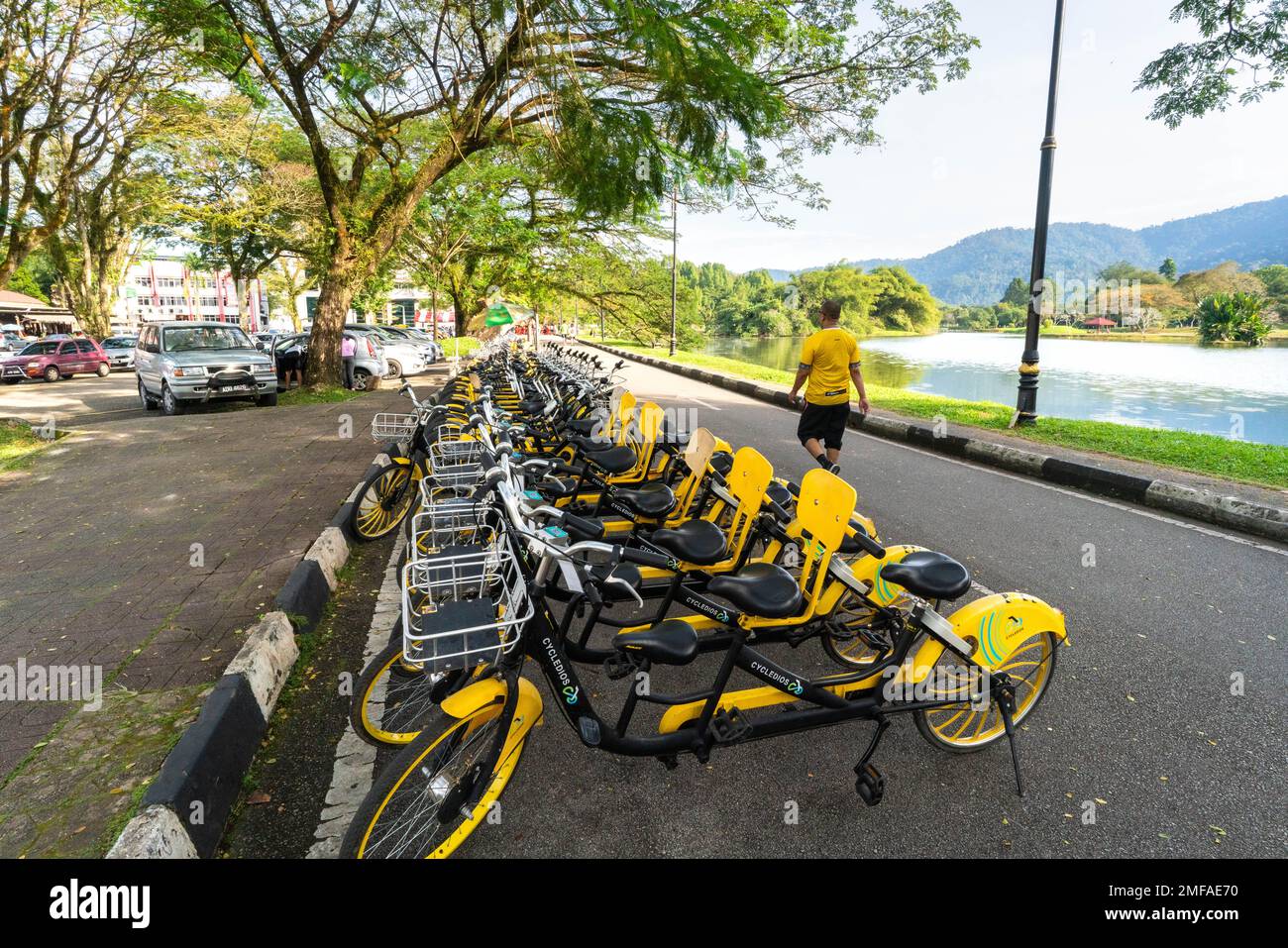 Taiping, Malaisie - 1st janv. 2023 : magnifiques jardins du lac Taiping avec location de vélos. Banque D'Images