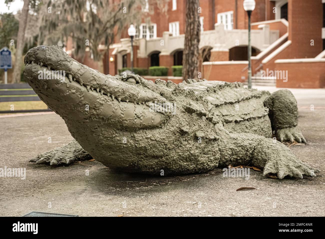 Sculpture de alligators de Floride près de l'auditorium de l'Université sur le campus de l'Université de Floride à Gainesville, Floride. (ÉTATS-UNIS) Banque D'Images