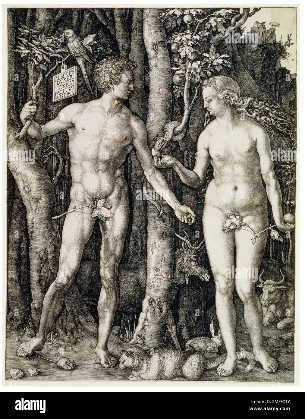 Albrecht Durer, Adam et Eve (la chute de l'Homme), gravure en plaques de coperplate, 1504 Banque D'Images