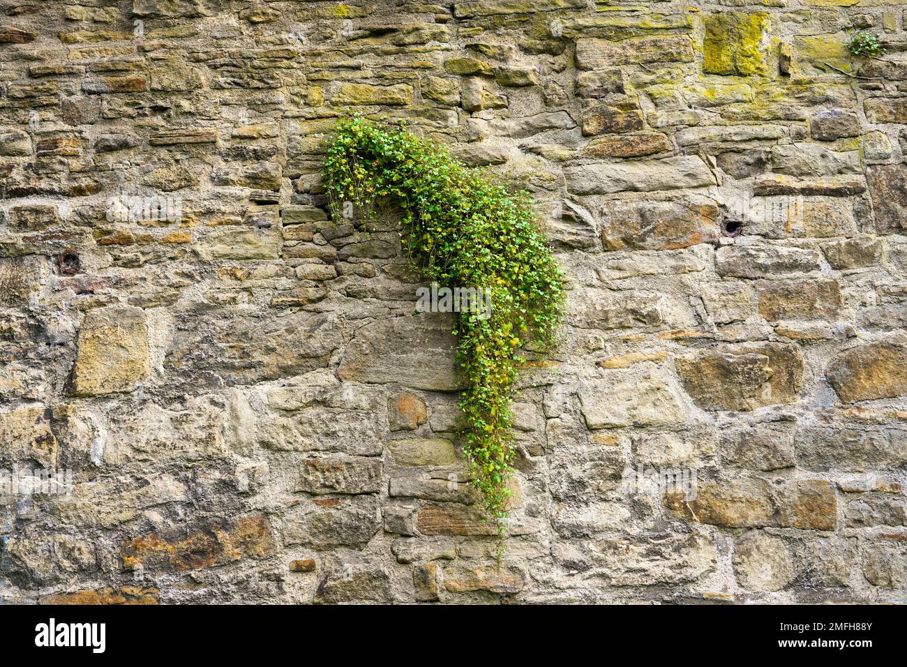 Vieux mur en pierre d'un bâtiment. Mur en pierre comme arrière-plan ou motif rustique pour le papier peint. Banque D'Images
