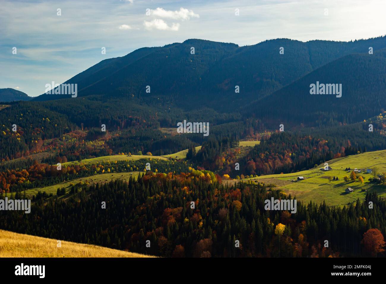 Beau paysage avec prairie rurale dans les montagnes Carpates, Ukraine. Banque D'Images