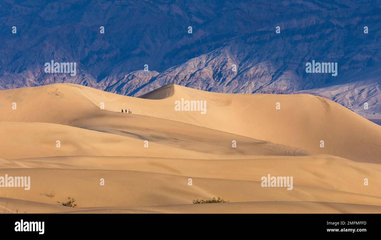 Les dunes de Mesquite dans le parc national de la Vallée de la mort avec des figures humaines pour illustrer l'échelle. Banque D'Images