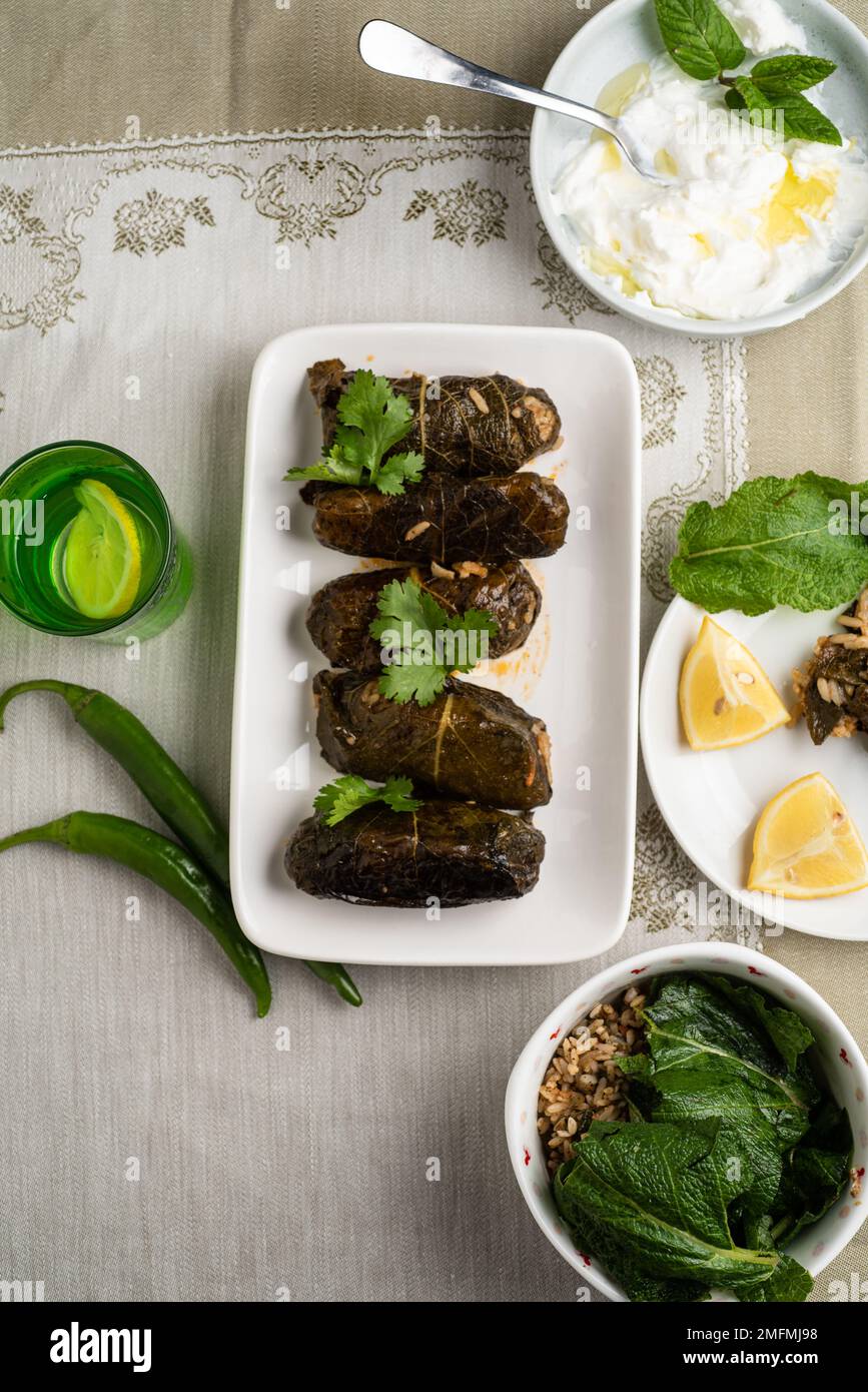 régime alcalin de kale farci Banque D'Images