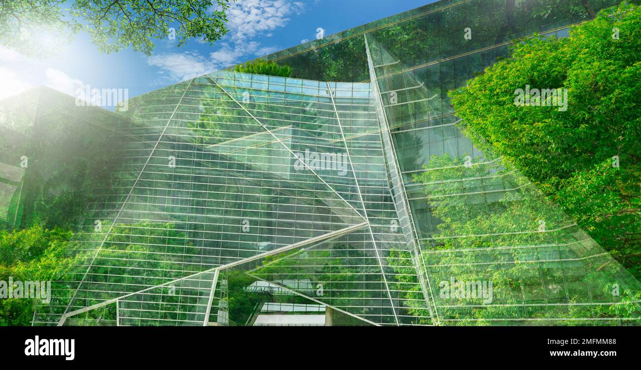 Bâtiment vert durable. Bâtiment écologique. Bâtiment de bureau durable en verre avec arbre pour réduire le dioxyde de carbone. Bureau avec vert Banque D'Images