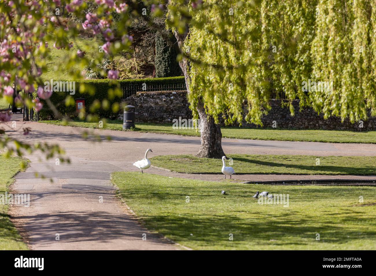 Colchester, Essex, Angleterre, Royaume-Uni, Photographie locale Banque D'Images