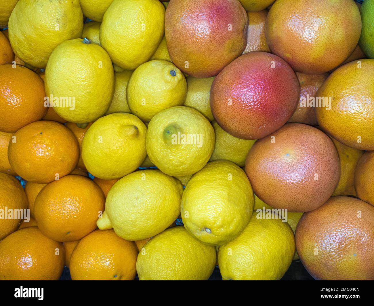 Oranges, citrons et pamplemousses - beaucoup d'agrumes, source de vitamine C, vue de dessus. Banque D'Images