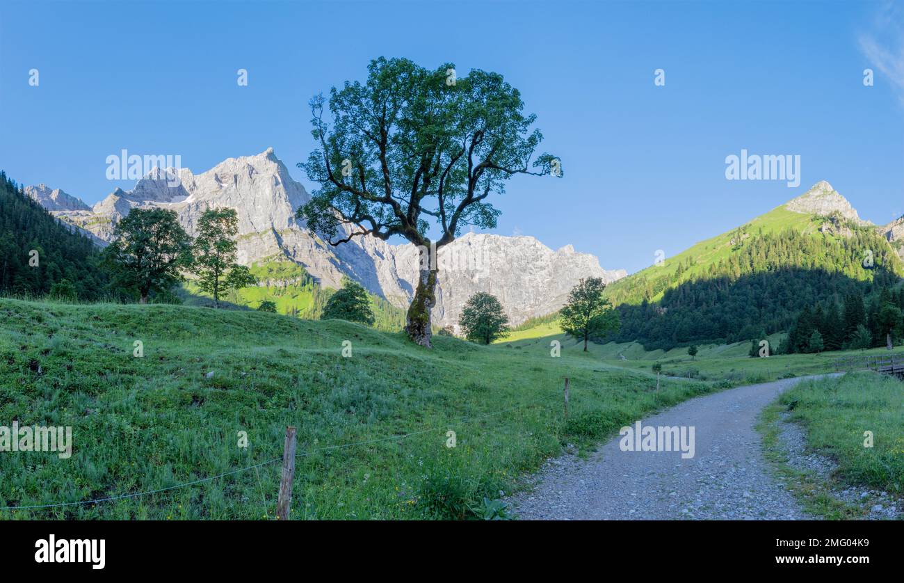 Les murs du matin des montagnes Karwendel - les murs de Spitzkar spitze et Grubenkar spitze d'Enger Tall - Grosser Ahornboden walley. Banque D'Images