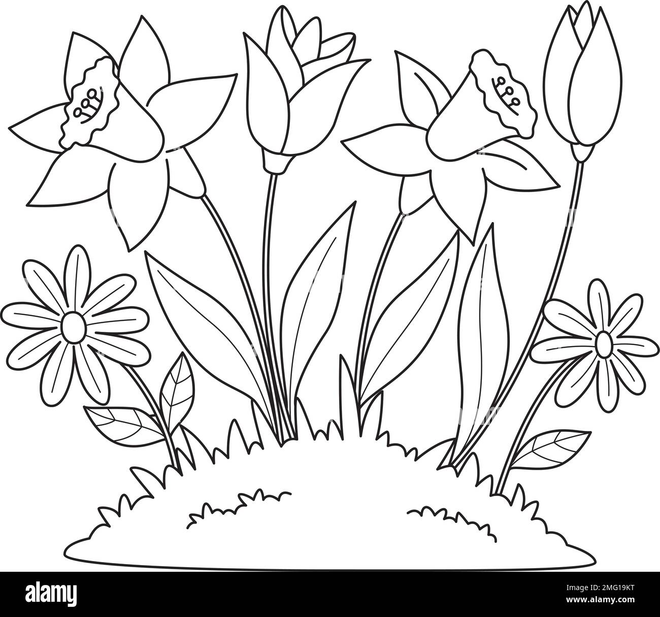 Romo Tulipa Fleur 7526 aveugle romain, sur mesure, tous cols