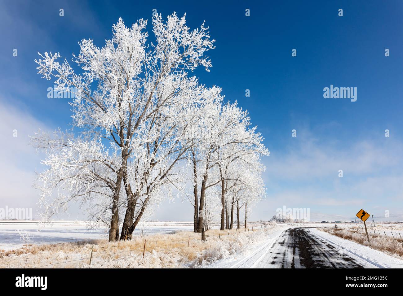 Paysage d'hiver avec des hivers et des arbres neigeux près de Baker City, Oregon Banque D'Images