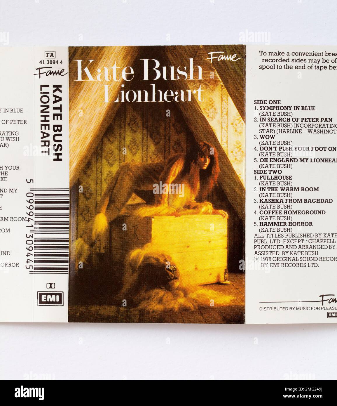 Cassette de musique Lionheart de Kate Bush Banque D'Images