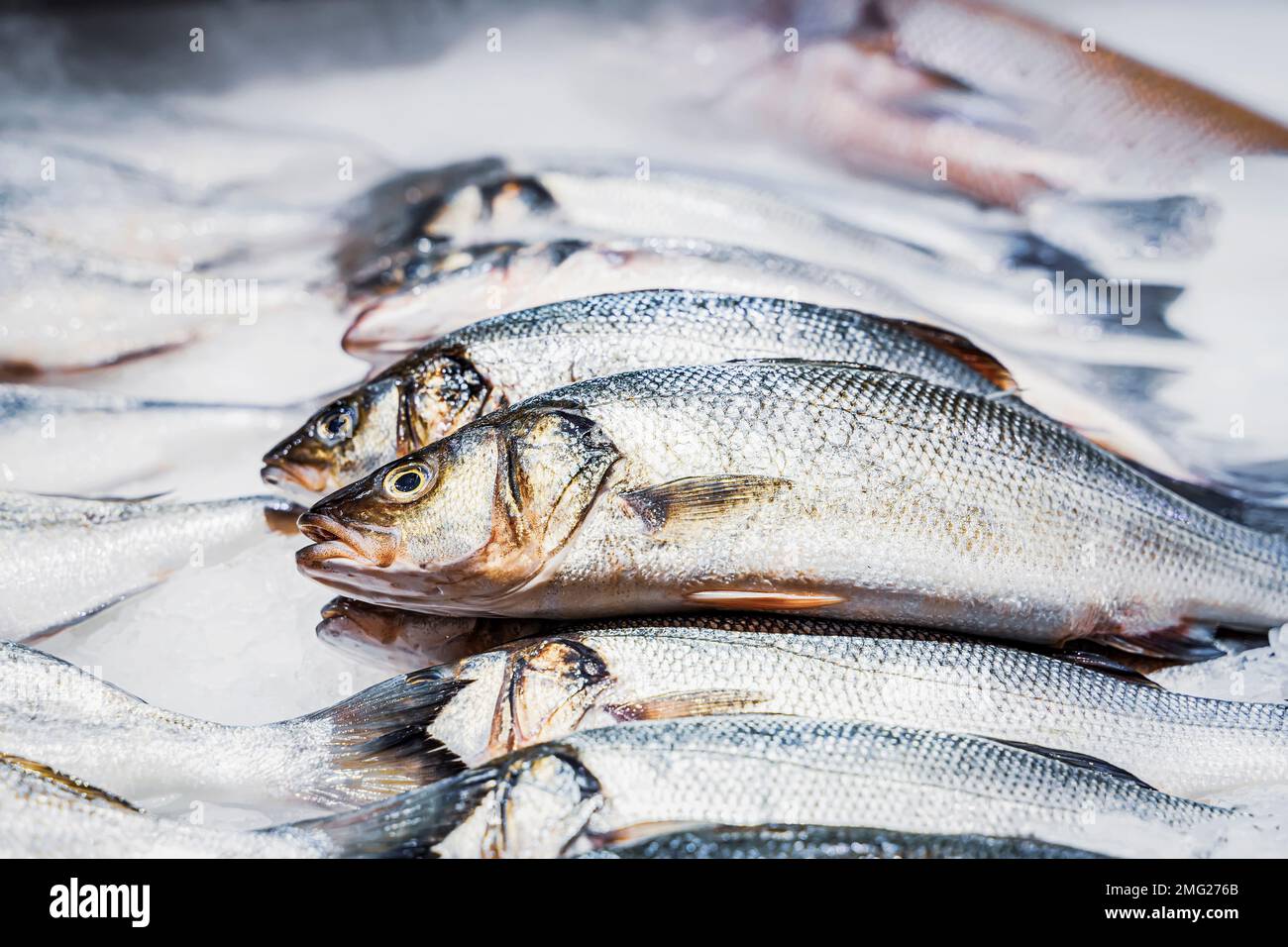 Place du marché, vitrine avec fruits de mer. Gros plan de saumon frais sur glace à vendre au magasin de poissons, concept de fruits de mer Banque D'Images