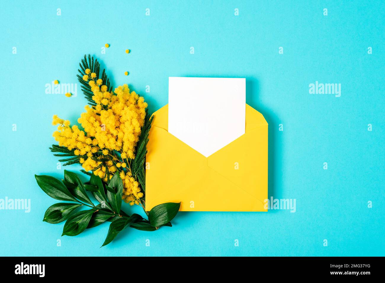 Enveloppe avec carte vierge, fleurs jaunes mimosa sur fond bleu. Concept vacances de printemps. Vue de dessus, plan d'agencement, maquette. Banque D'Images