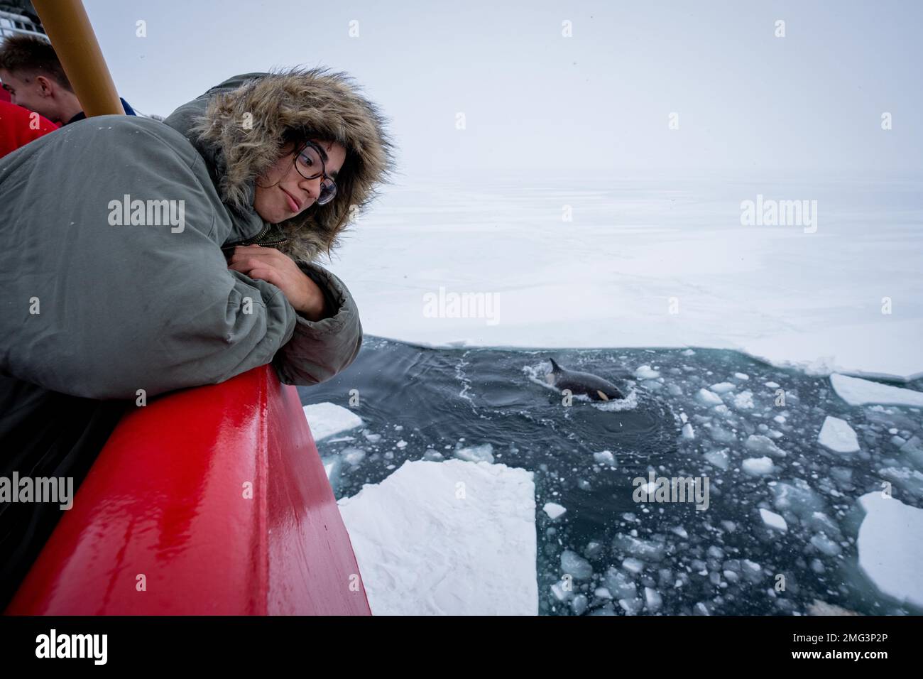 Antarctique. 1st janvier 2023. Le pompier Kenadi Kane, un membre de la division d'ingénierie auxiliaire de la Garde côtière Cutter Polar Star (WAGB 10), regarde les orques nager près de la Cutter dans l'océan Austral, janvier. 1, 2023. L'étoile polaire a mené des opérations de déglaçage dans le détroit McMurdo à l'appui de l'opération Deep Freeze 2023. L'opération Deep Freeze est l'une des nombreuses opérations de l'Indo-Pacifique dans lesquelles l'armée américaine favorise la sécurité et la stabilité dans toute la région. (Image de crédit : © Aidan Cooney/US Coast Guard/ZUMA Press Wire Service) USAGE ÉDITORIAL SEULEMENT! Non destiné À un usage commercial ! Banque D'Images