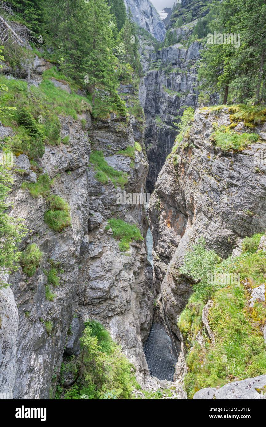 Le gouffre de Gletscherschlucht sur Grindelwald - Suisse Banque D'Images