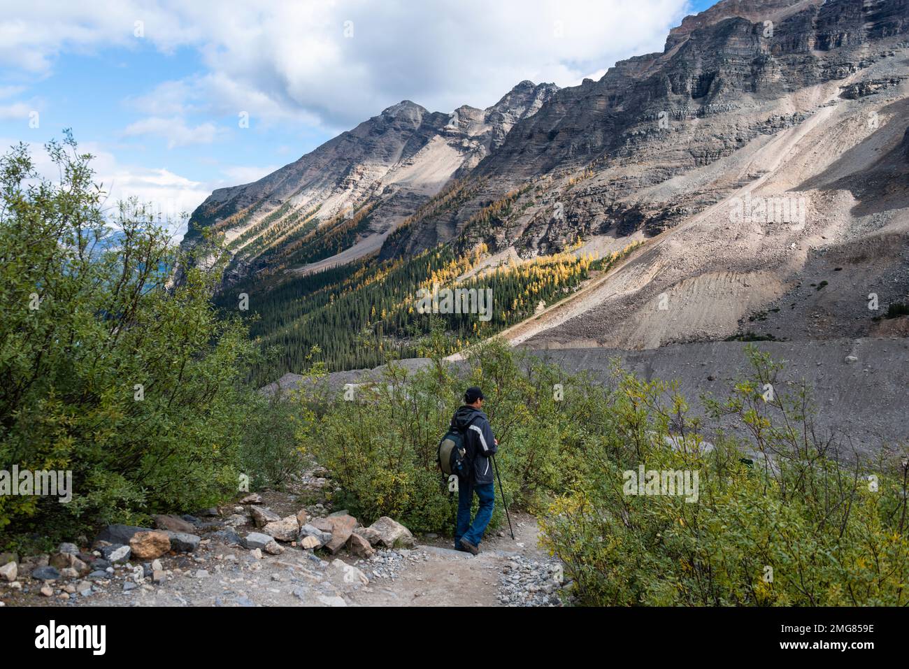 Sentier de randonnée de la Plaine des six Glaciers au départ du lac Louise, dans le parc national Banff, Canada. Banque D'Images