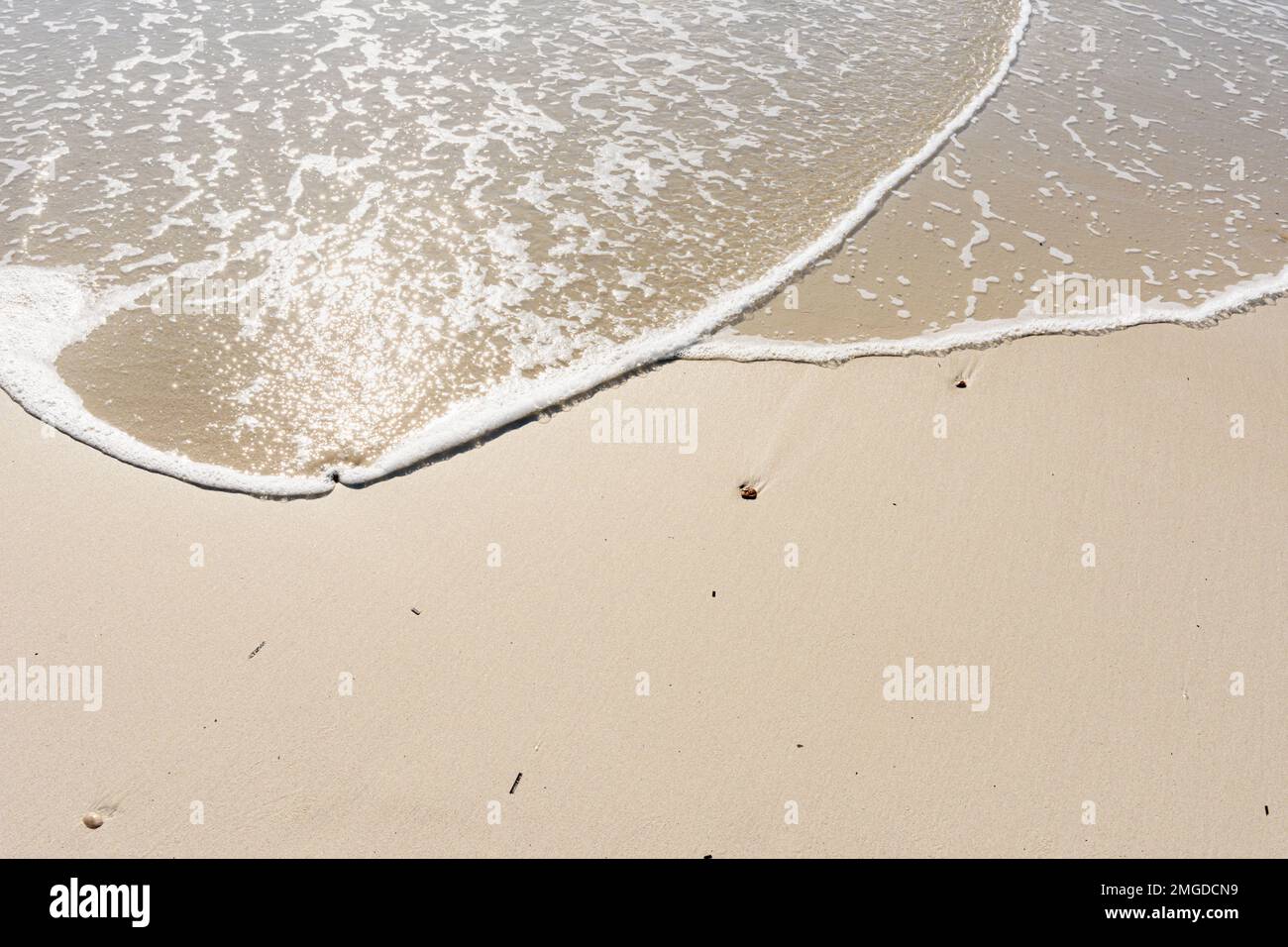 Bord de mer et de sable détail rapproché d'un bord de mer Banque D'Images