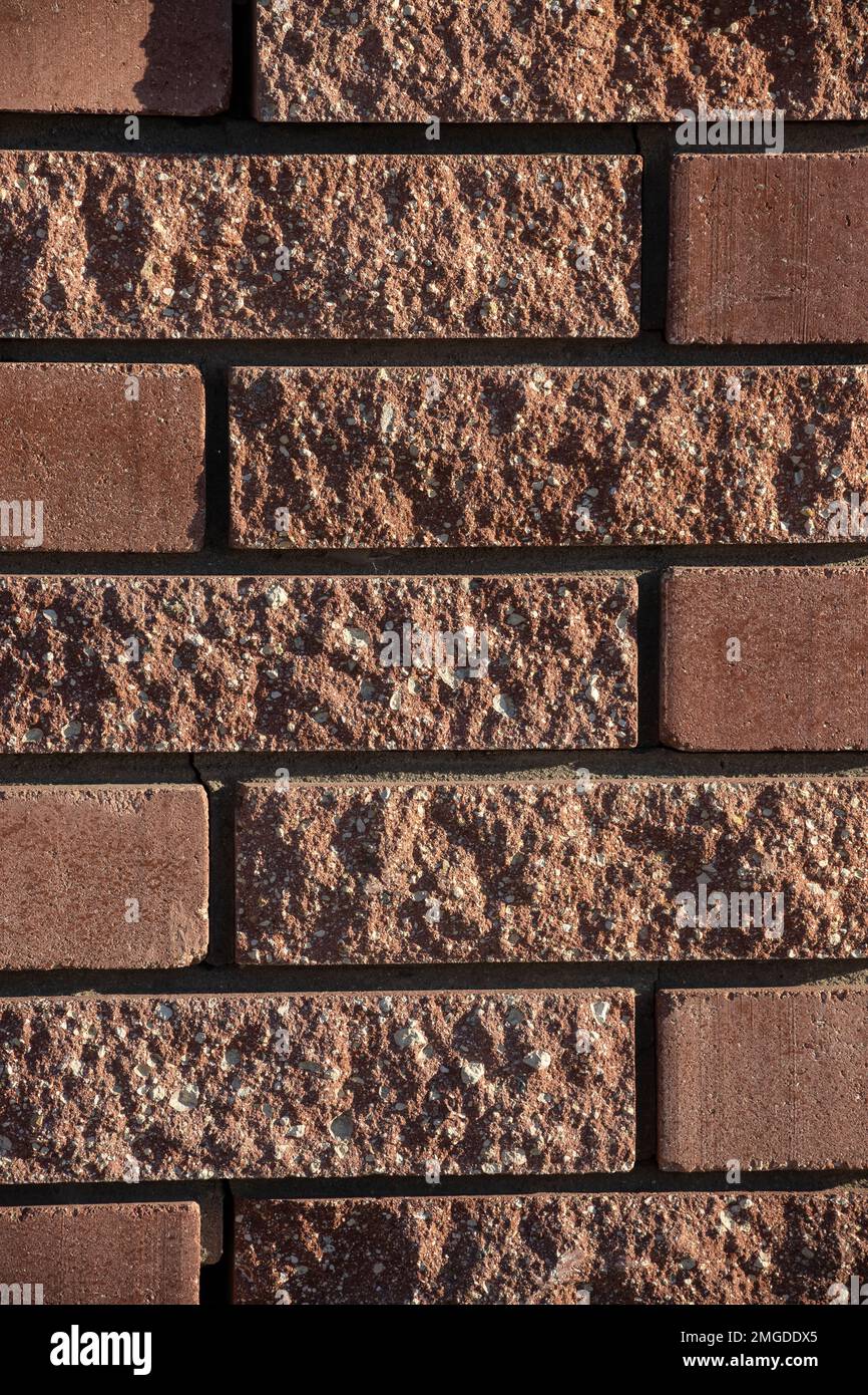 L'arrière-plan est un vieux mur de briques. Le mur est fait de briques rouges en céramique. Banque D'Images