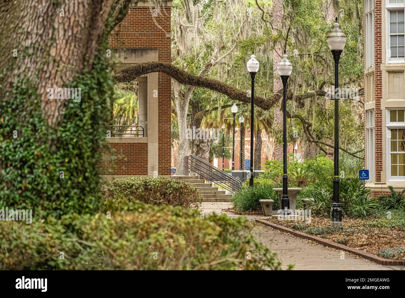 Vue sur le campus de l'Université de Floride entre Leigh Hall et le laboratoire de chimie de Gainesville, Floride. (ÉTATS-UNIS) Banque D'Images