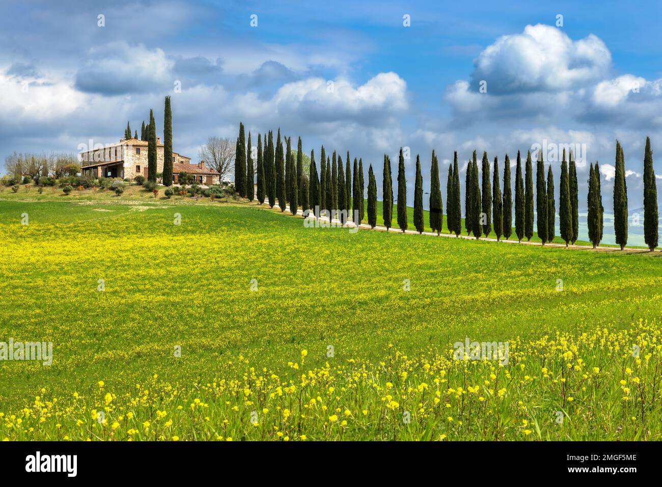 Paysage typique, maison sur une colline avec cyprès ruelle au printemps dans le Val d'Orcia en Toscane, Italie. Banque D'Images