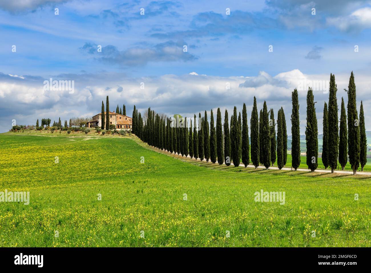 Paysage typique, maison sur une colline avec cyprès ruelle au printemps dans le Val d'Orcia en Toscane, Italie. Banque D'Images