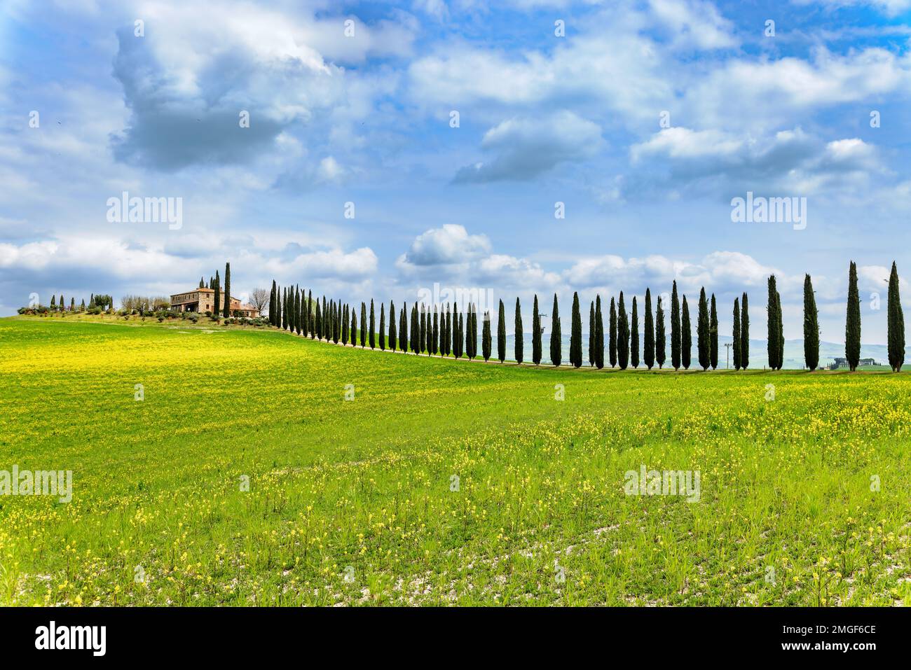 Paysage typique, maison sur une colline avec cyprès ruelle au printemps dans le Val d'Orcia en Toscane, Italie. Banque D'Images