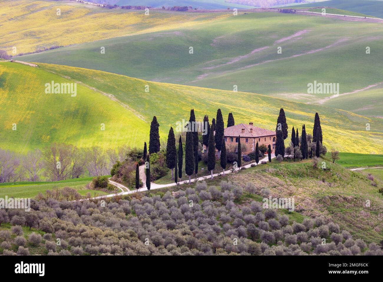 Paysage typique, maison sur une colline avec cyprès ruelle au printemps dans le Val d'Orcia en Toscane, Italie. Banque D'Images