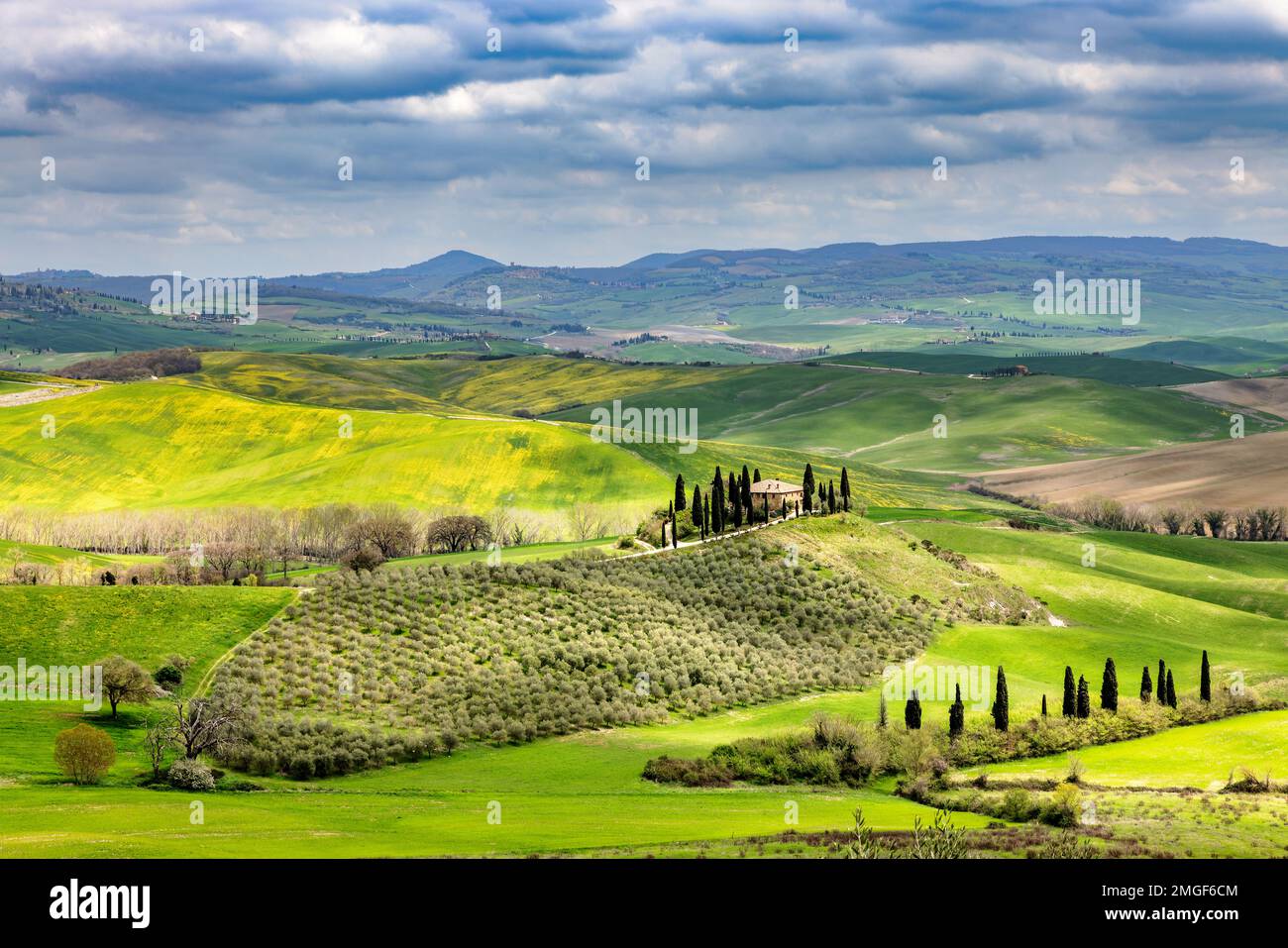 Paysage typique, maison sur une colline avec cyprès ruelle au printemps dans le Val d'Orcia en Toscane, Italie. Banque D'Images