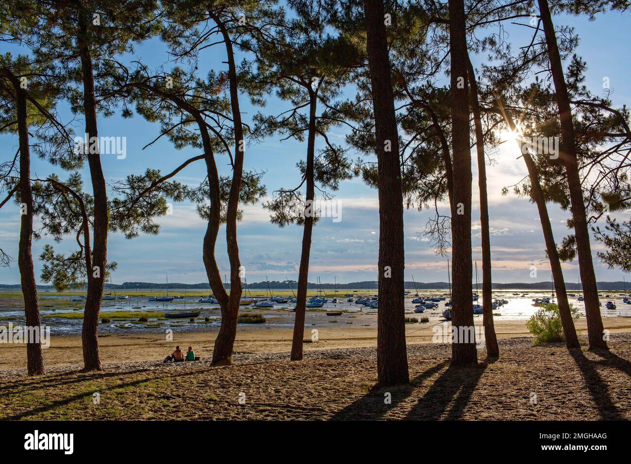 Ares (sud-ouest de la France) : vue d'ensemble de la baie d'Arcachon à marée basse dans la soirée Banque D'Images