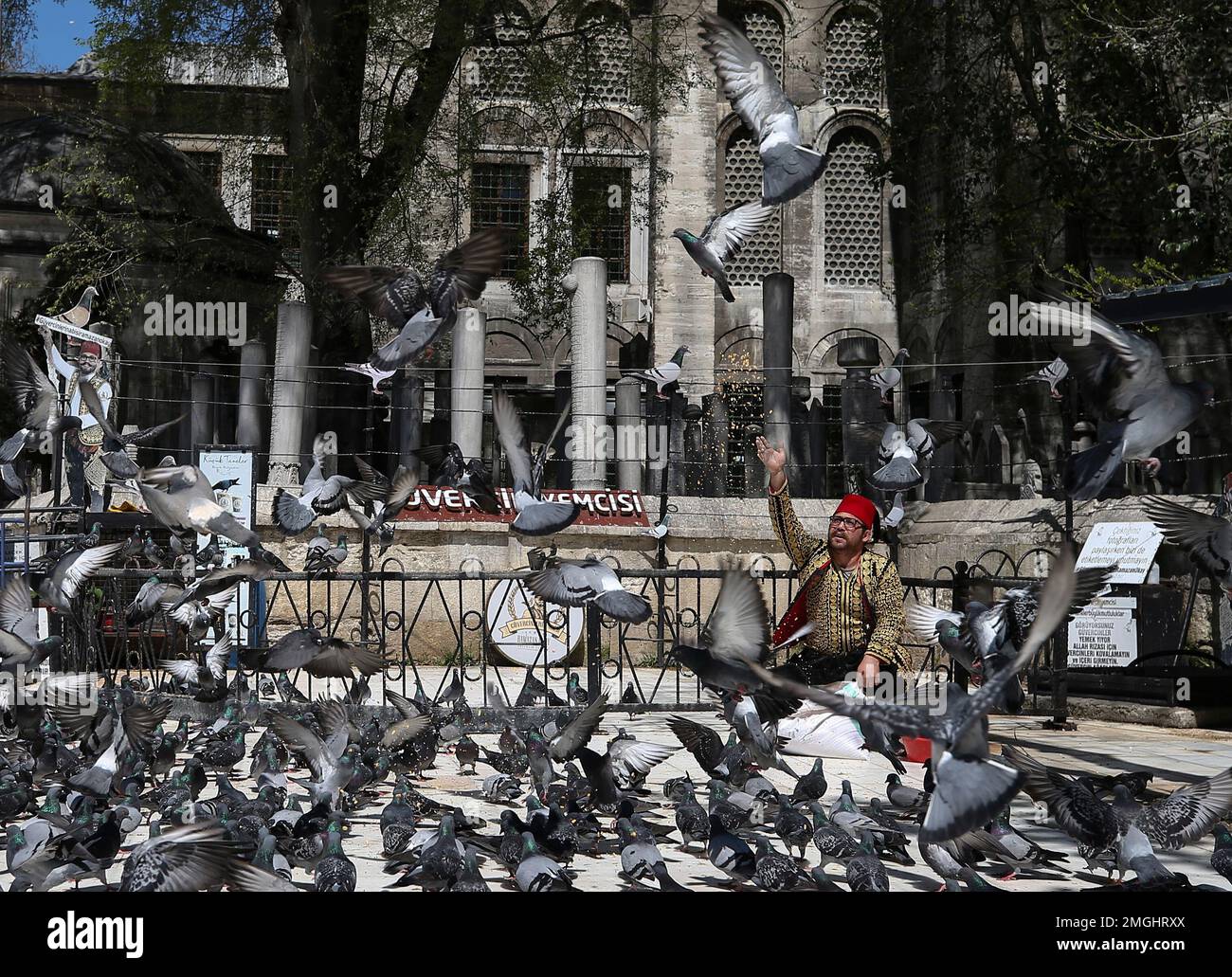 A man feed pigeons on the grounds of Eyup Sultan Mosque in Istanbul, Friday, April 24, 2020, during the first day of the holy fasting month of Ramadan. Millions of Muslims have started the holiest month on the Islamic calendar under the coronavirus lockdown or strict social restrictions, deepening their anxiety over the disease. Turkey has banned communal eating during Ramadan for breaking people's fasting in an effort to stem the spread of COVID-19.(AP Photo/Emrah Gurel) Banque D'Images