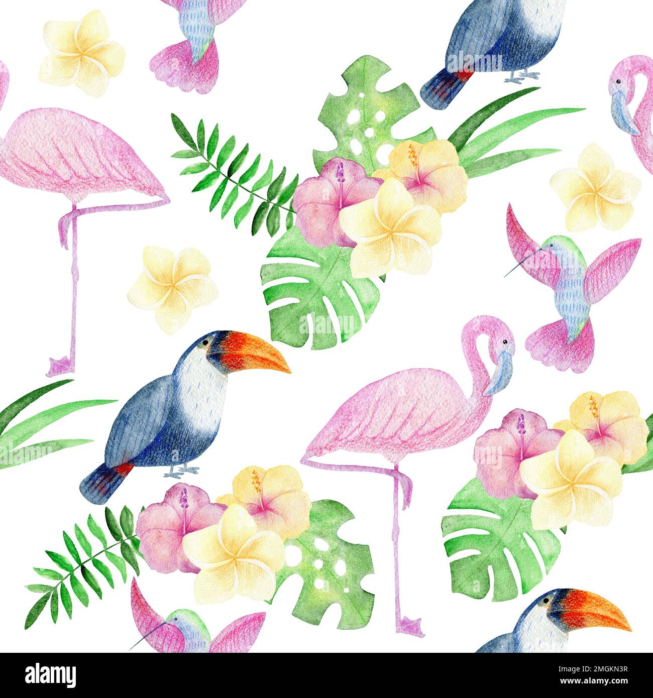 Aquarelle tropicale avec motif transparent d'oiseaux et de fleurs. Banque D'Images