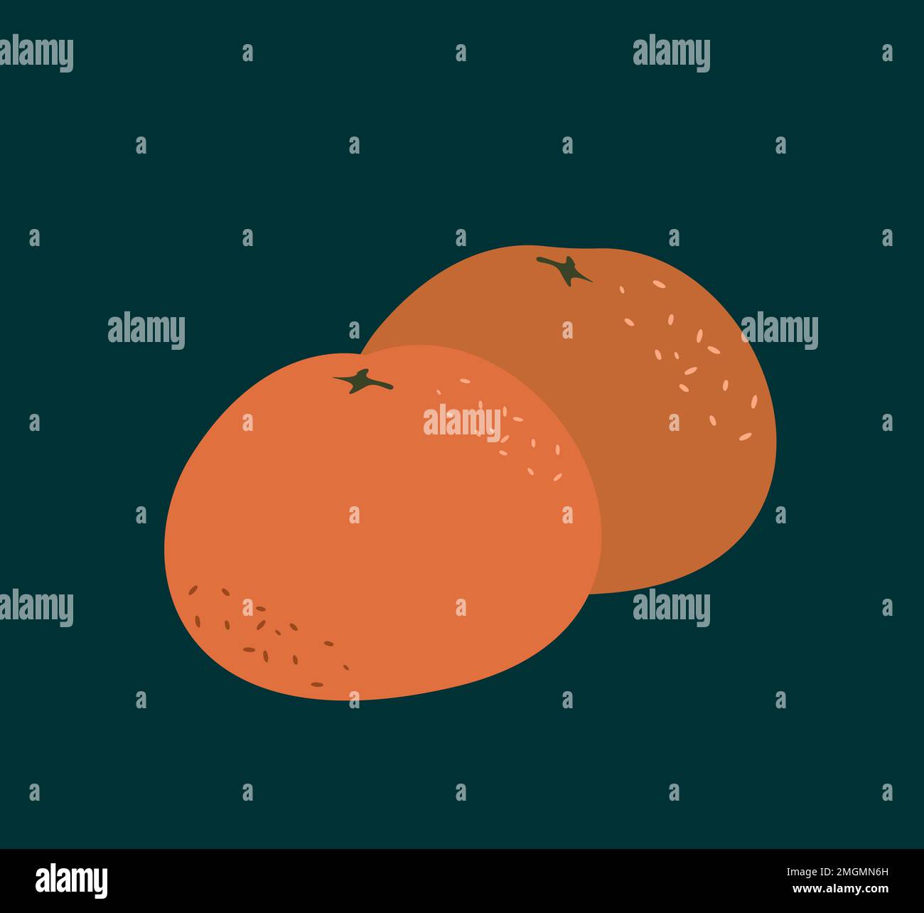 Fruit orange entier, mandarines isolées sur fond sombre. Mandarine. Fruits biologiques. Style de dessin animé. Illustration vectorielle pour le motif hiver de Noël. Banque D'Images
