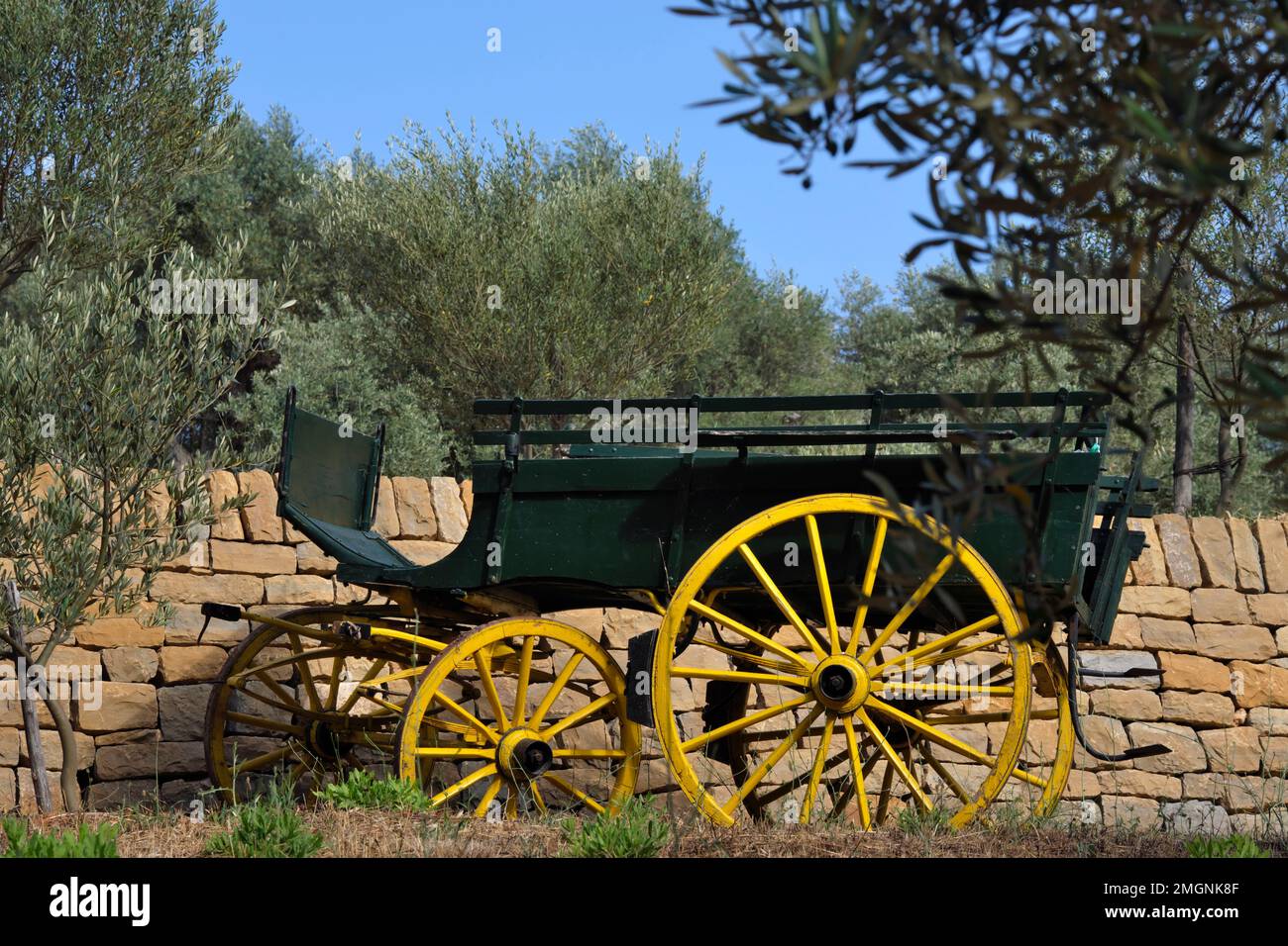 Chariot, terrasses, jardin des oliviers, Sanary-sur-Mer, Var, France Banque D'Images
