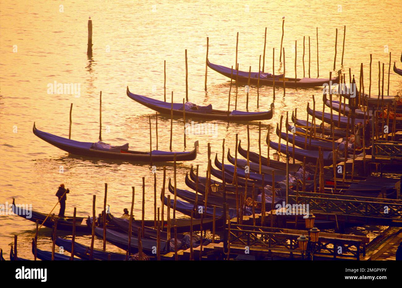 Italie, Venise, gondoles amarrées à Molo San Marco au coucher du soleil Banque D'Images