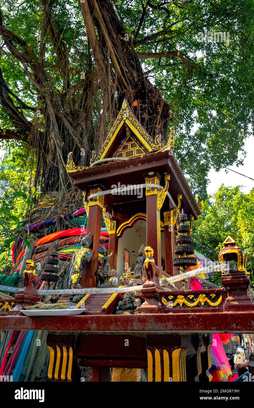 Une maison d'esprit avec le vieux banyan Tree derrière vous. Maison miniature thaïlandaise traditionnelle construite pour l'esprit de gardien de résider. Banque D'Images