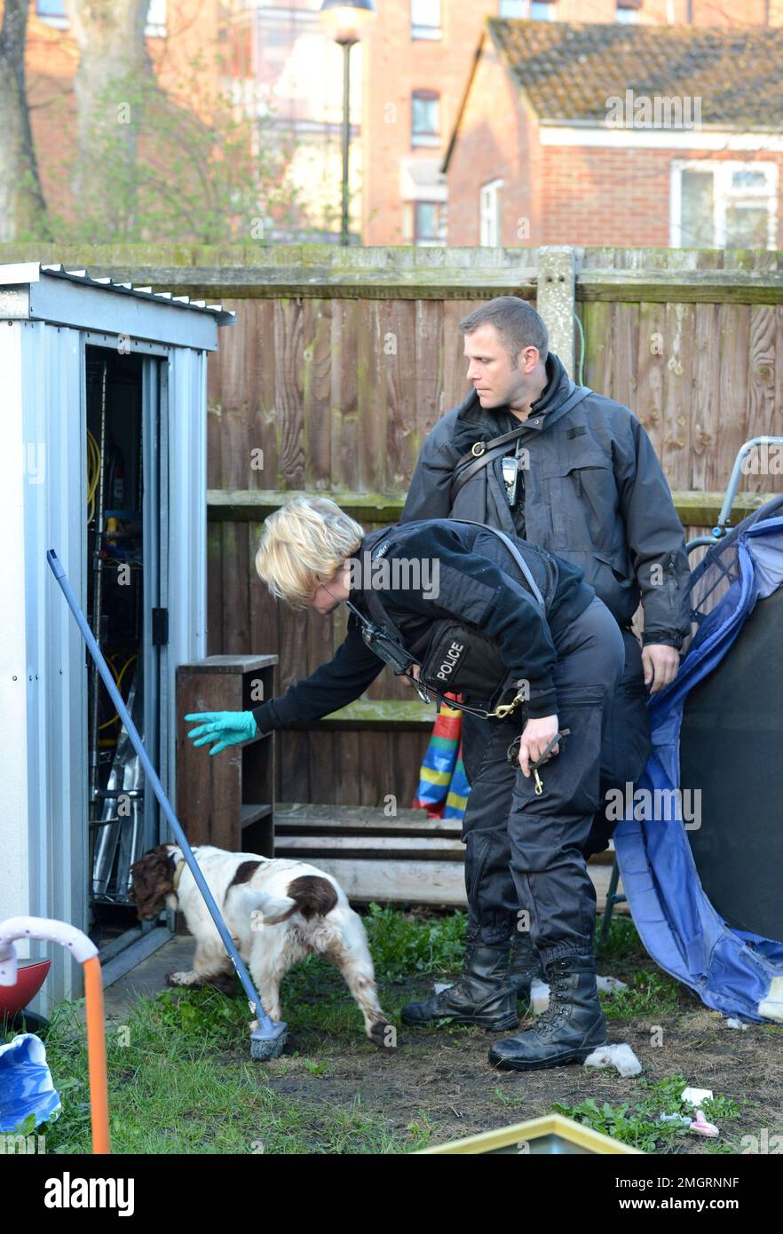 Un chien-renifleur de la police à Gloucester où l'une des séries de raids à l'aube a été faite ce matin dans le cadre de l'opération Zephyr visant à briser une cocaïne Banque D'Images