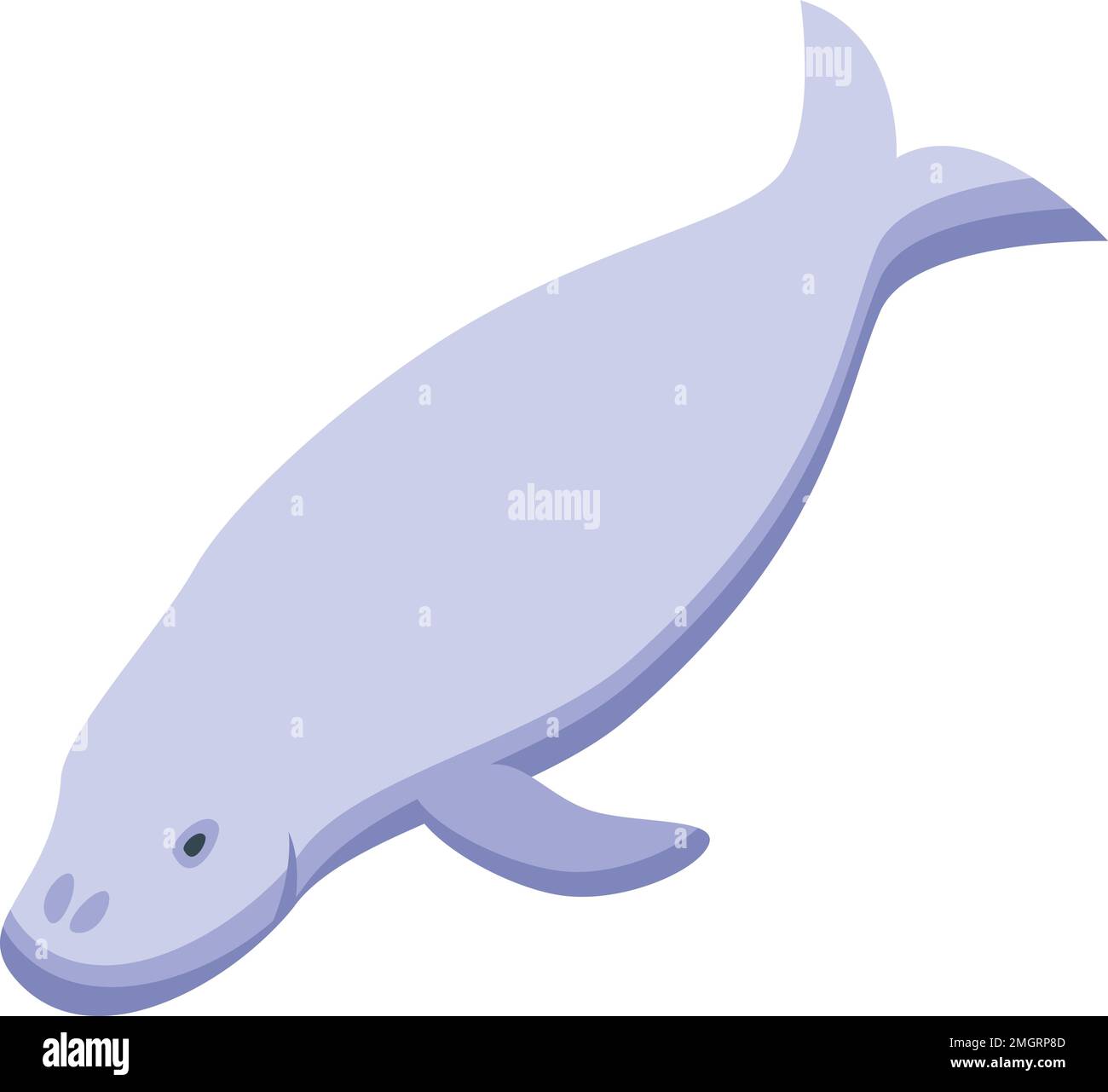 Dugong manatee icône vecteur isométrique. Bébé de mer. Animal mammifère Illustration de Vecteur