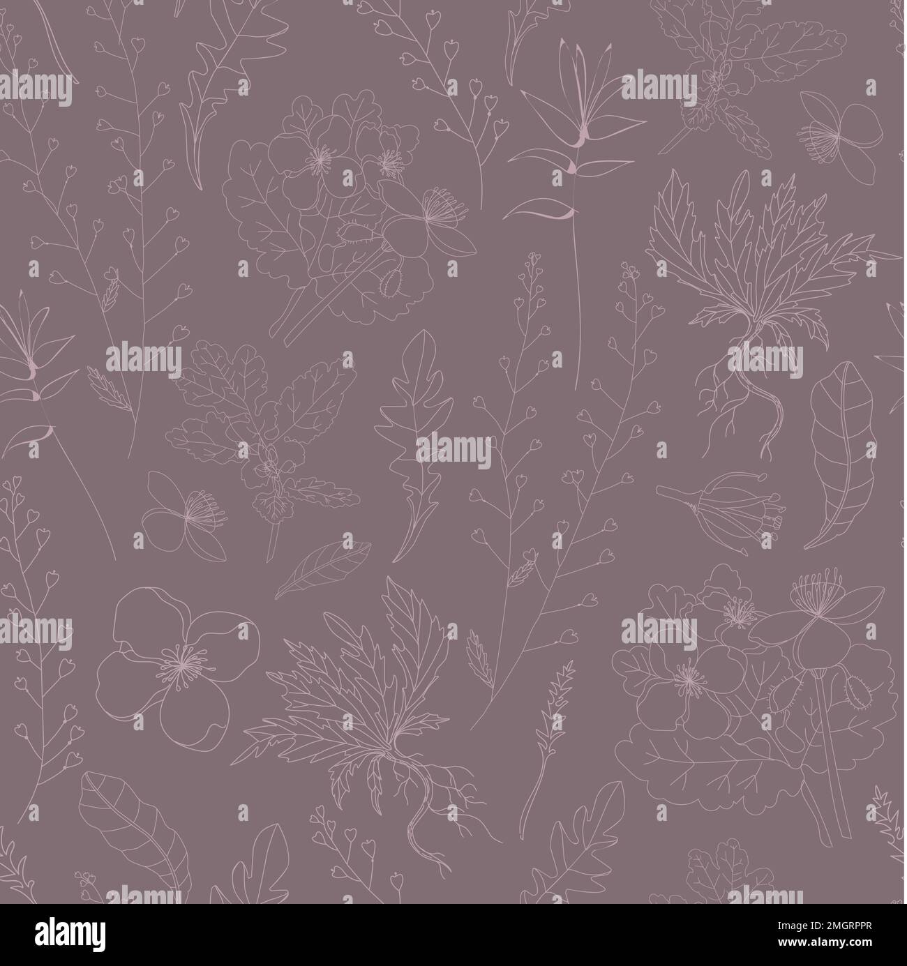 Conception pour le tissu. Motif botanique.motif vectoriel sans couture avec plantes sur fond gris Illustration de Vecteur