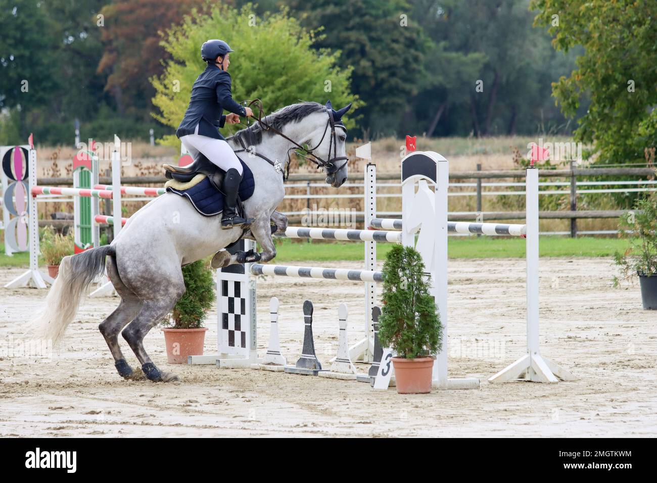 tournois officiels de saut de spectacle en allemagne Banque D'Images