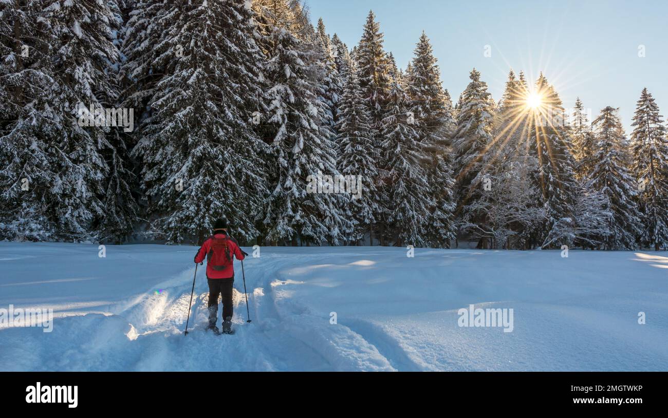 Trekking avec des raquettes dans le parc naturel Adamello Brenta, Trentin-Haut-Adige, nord de l'Italie, Europe Banque D'Images