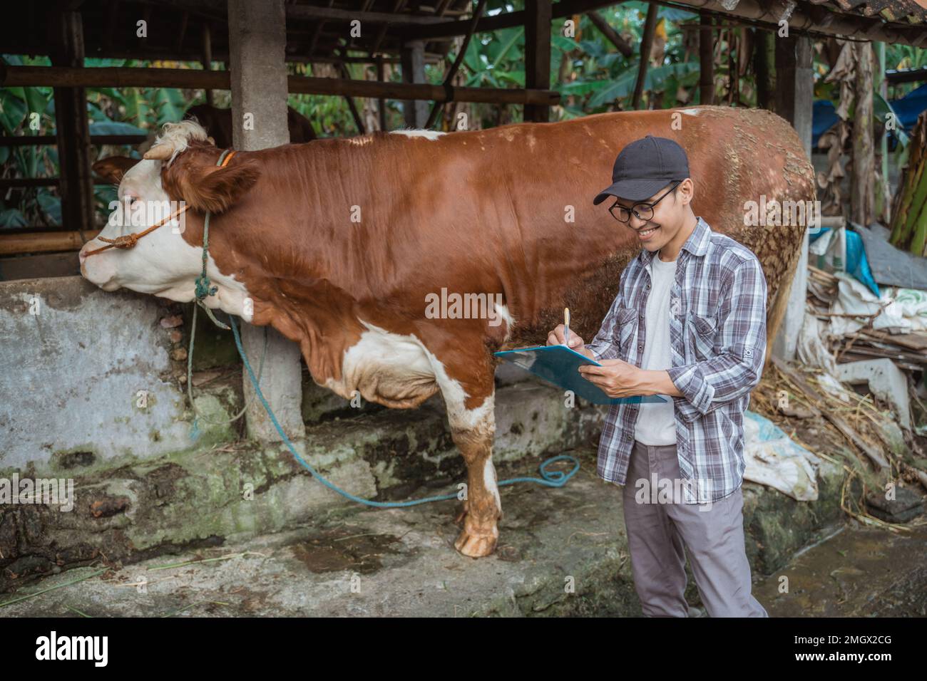 un fermier debout à côté de la vache et écrivant sur le presse-papiers bleu Banque D'Images