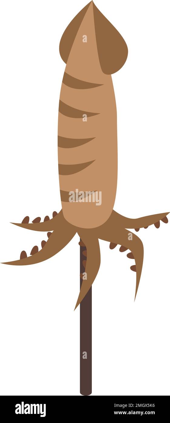 Vecteur isométrique d'icône de plante alimentaire japonaise. Cuisine japonaise. Menu du dîner Illustration de Vecteur