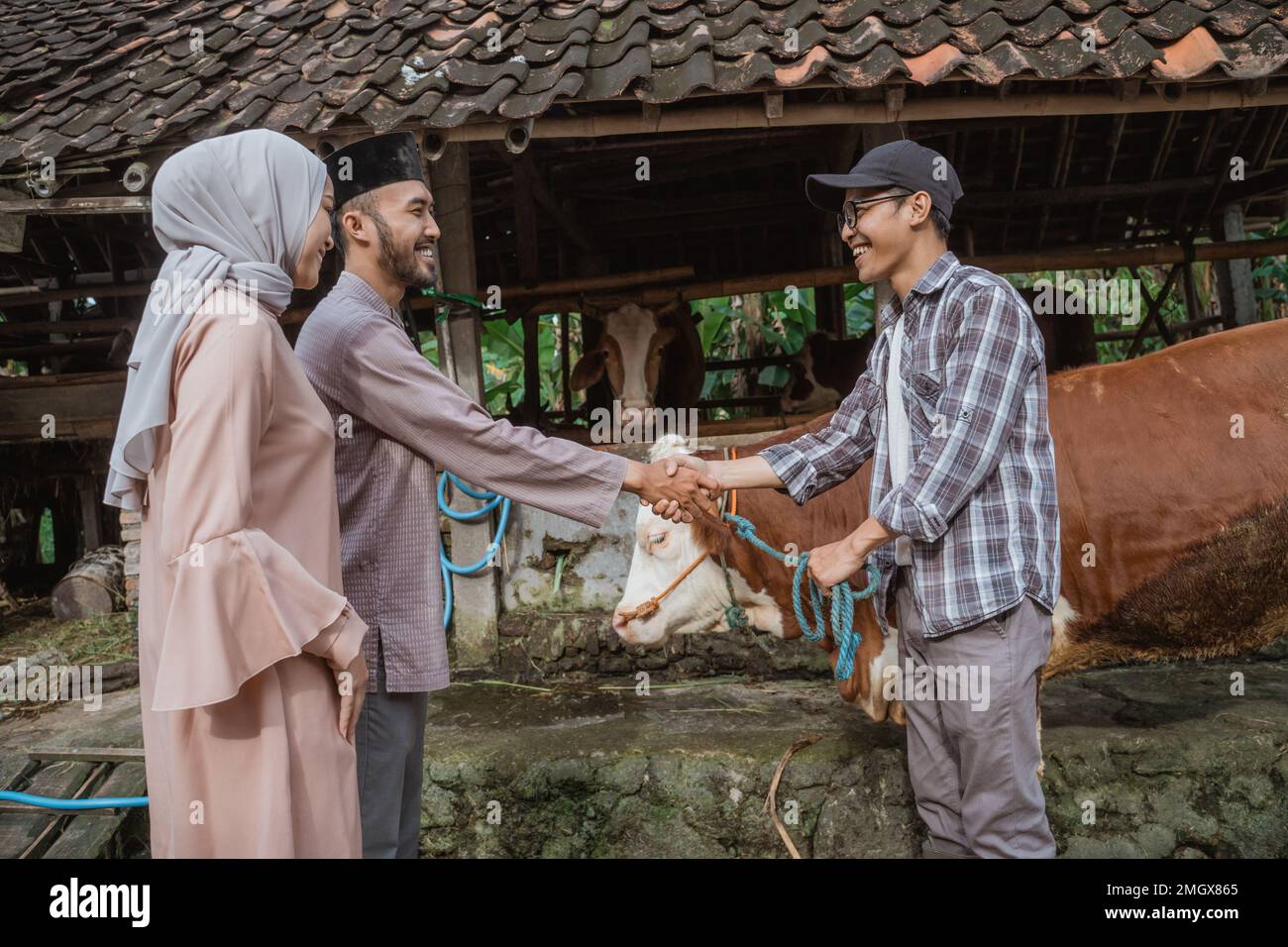 le fermier secouer la main avec l'homme musulman qui achète sa vache Banque D'Images
