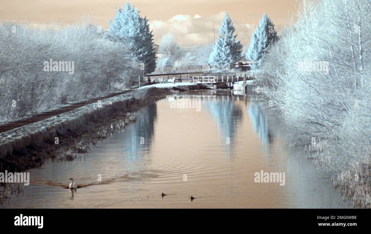 Image infrarouge de la fausse couleur de la voie de remorquage du canal Forth et clyde à Clydebank Banque D'Images
