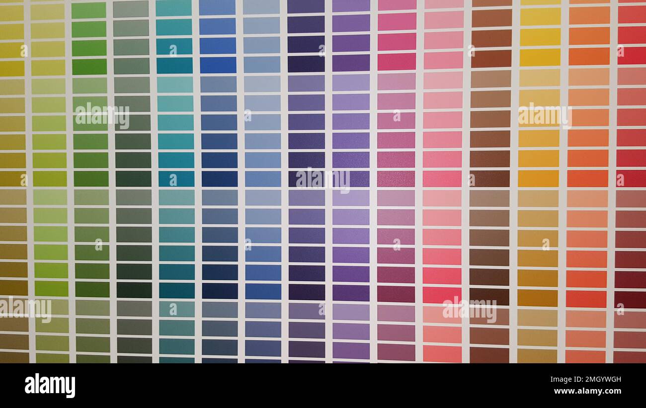 exemple de peinture de catalogue de couleurs sur le mur pour aider le