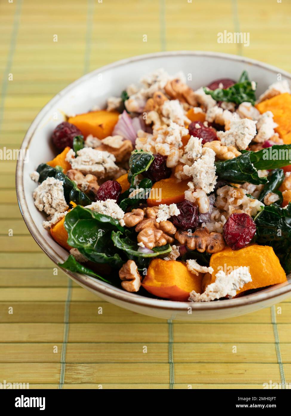 Salade d'épeautre avec kale, courge d'hiver, canneberges et fromage feta de légumes Banque D'Images