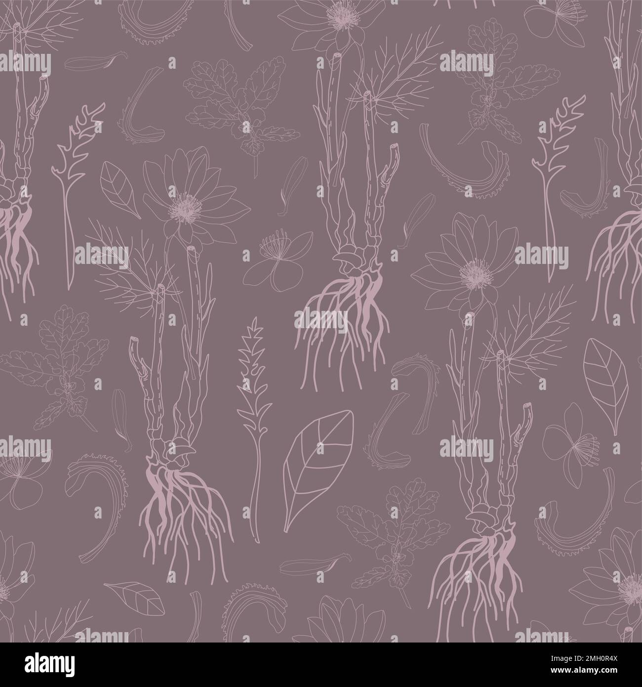 Conception pour le tissu. Motif botanique.motif vectoriel sans couture avec plantes sur fond gris. Illustration de Vecteur