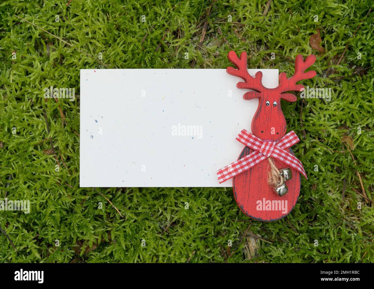 Carte de vœux avec motif renne rouge sur la surface en mousse verte et espace de copie Banque D'Images