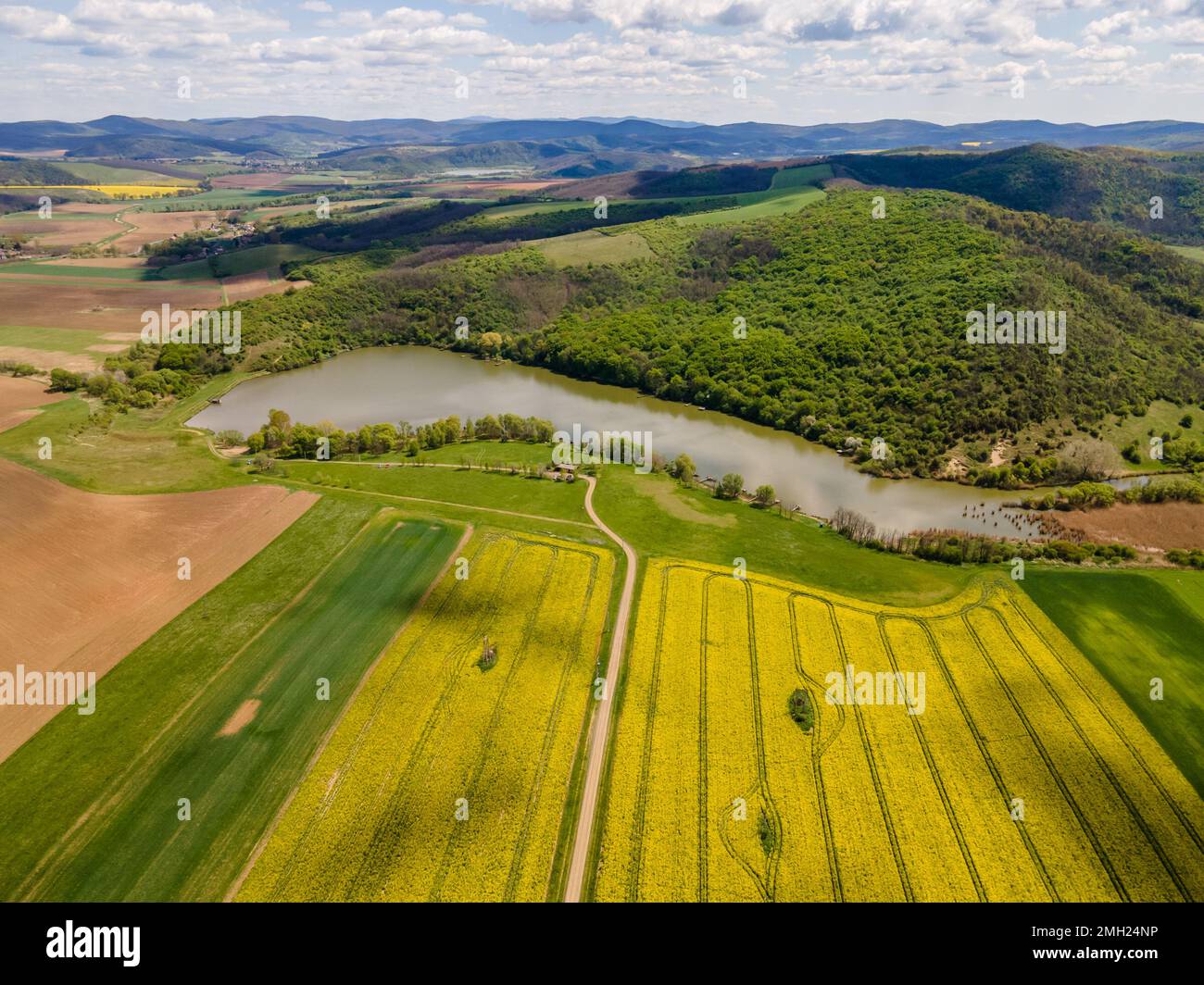 Vue aérienne d'un champ de colza jaune au pied d'un réservoir, Magyarnándor, Hongrie Banque D'Images