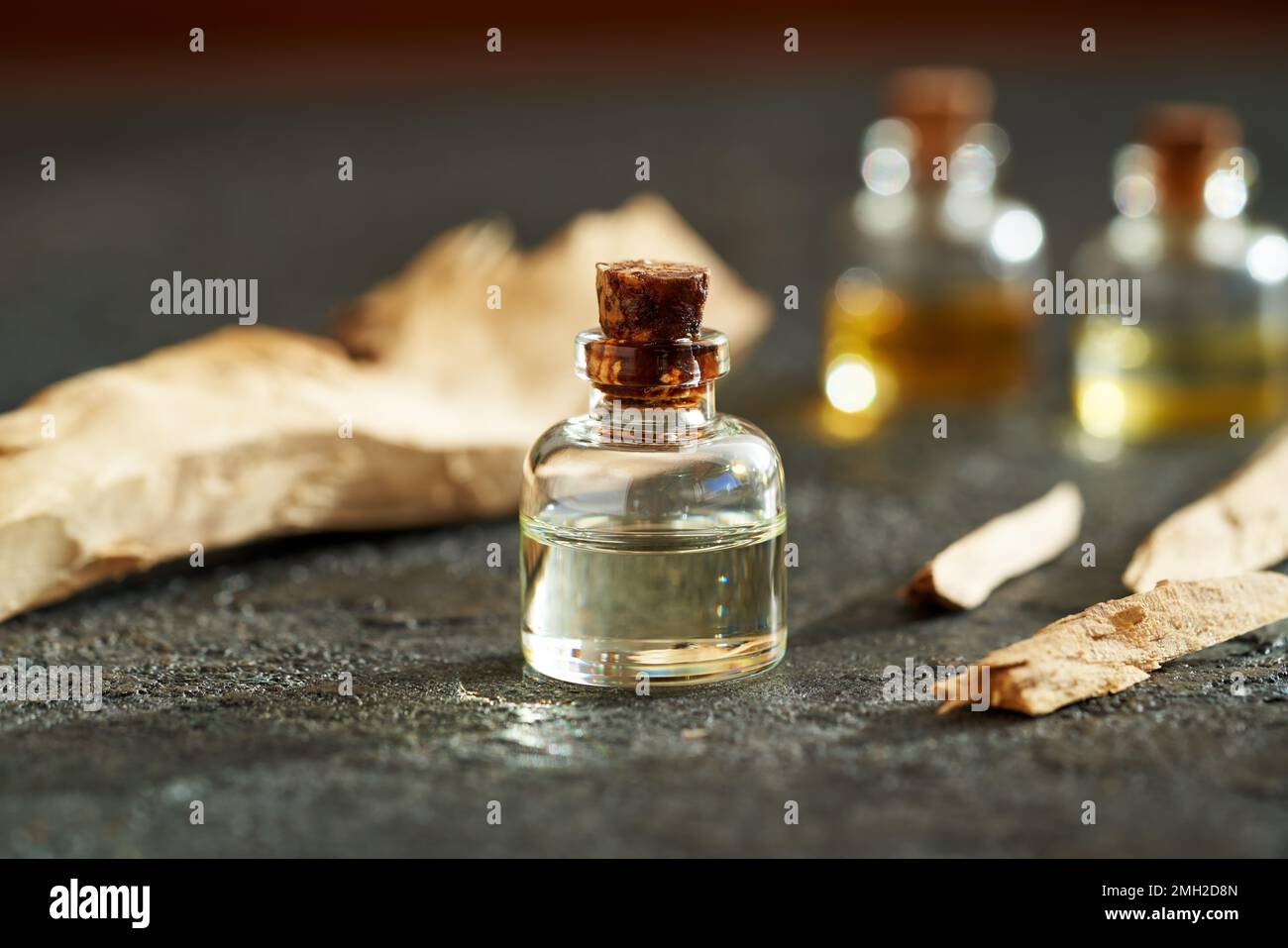 Bouteille d'huile essentielle d'aromathérapie avec des morceaux de bois de santal blanc Banque D'Images